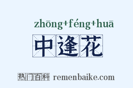 中逢花是什么意思的图片